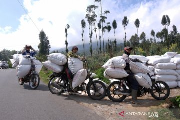 Begini perjuangan tukang ojek di lereng Gunung Sindoro