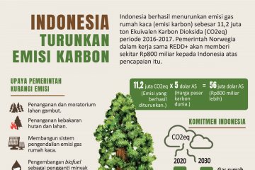 Indonesia turunkan emisi karbon