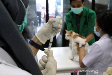 Hari Rabies Sedunia, KPKP Jakpus beri sterilisasi dan vaksinasi gratis
