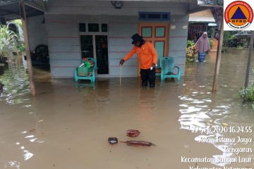 BNPB sebut banjir rendam 15 desa di Kabupaten Ketapang-Kalbar