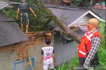 Angin kencang rusak sejumlah rumah dan tumbangkan pohon di Sukabumi