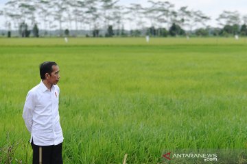 Mentan pastikan proyek lumbung pangan berkonsep korporasi petani