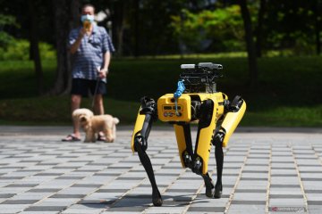 Robot anjing SPOT pendeteksi pemakai masker