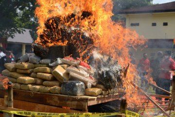 Pemusnahan narkotika di Aceh