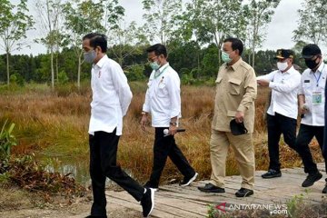 Prabowo targetkan 1,4 juta hektare lahan singkong pada akhir 2025