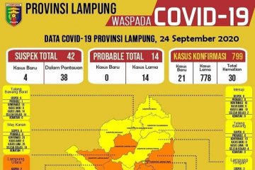 Dinkes sebut di Lampung ada delapan zona oranye