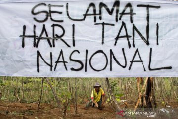 Aksi simpatik Hari Tani Nasional