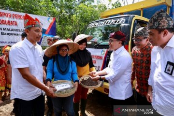 Petani kopi Banyuwangi dapat permintaan ekspor 600 ton ke Swiss