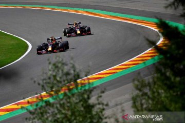 Red Bull ingin pertahankan Albon, Verstappen, dan Newey