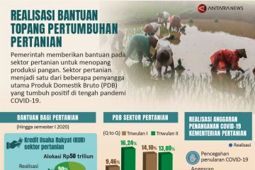 Realisasi bantuan topang pertumbuhan pertanian