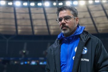 Schalke 04 resmi pecat David Wagner