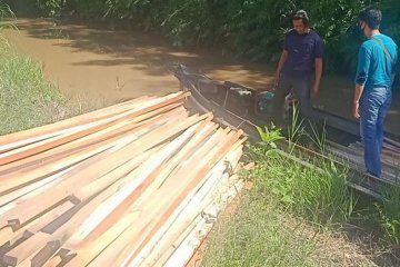 Polisi Kapuas amankan ratusan potong kayu olahan tanpa dokumen