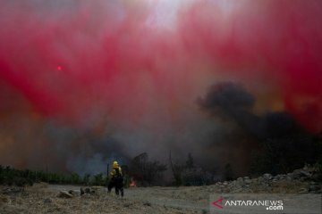 Kebakaran hutan dan lahan di California