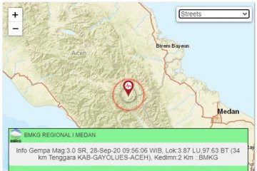 BMKG deteksi lebih 20 kali gempa kecil di Gayo Lues