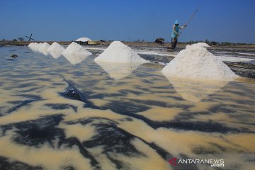 Agro Jabar siap serap produksi garam petani lokal