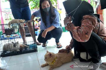 Vaksin rabies gratis di Palembang