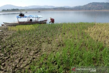 Pemanfaatan Waduk Bili-bili pada musim kemarau