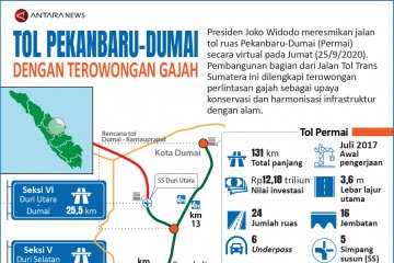 Tol Pekanbaru - Dumai dengan terowongan gajah