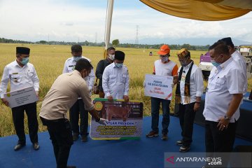 Presiden bantu sapi untuk petani di Aceh