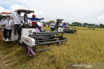 Kejar produksi musim II, Mentan sebut lahan tertanam capai 87 persen