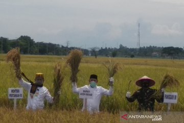Mentan minta Aceh optimalkan sektor pertanian
