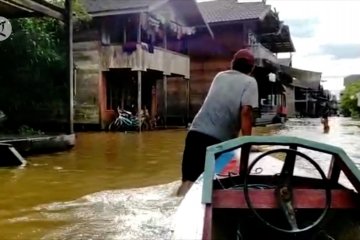 Ratusan rumah di Kapuas terendam banjir