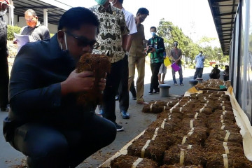 DPRD Temanggung desak gudang serap tembakau petani