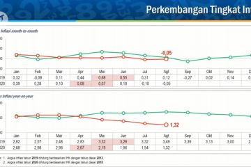 Daging ayam & tiket pesawat sumbang deflasi Agustus 2020