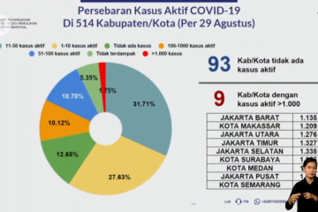 Satgas pantau sembilan wilayah dengan kasus aktif tertinggi