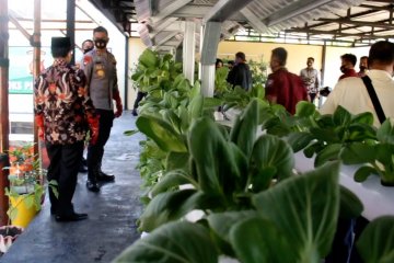 Polresta Cirebon ubah lapangan tembak jadi lahan produktif