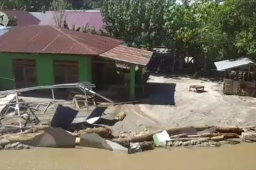 Ratusan hektare lahan pertanian di Sigi rusak akibat banjir