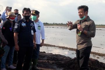 Mentan siapkan lahan food estate di Pulang Pisau