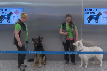 Bandara Helsinki kerahkan anjing pelacak COVID-19