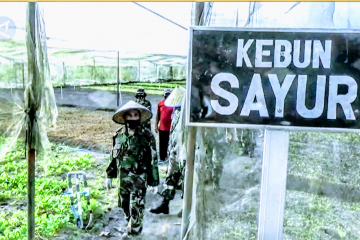 Pangkoopsau I: kebutuhan pangan tak dapat dicegah