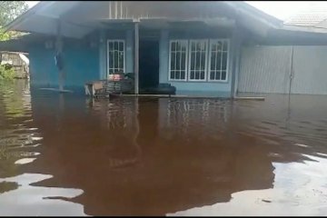 9 kecamatan di kabupaten Gunung Mas terendam banjir
