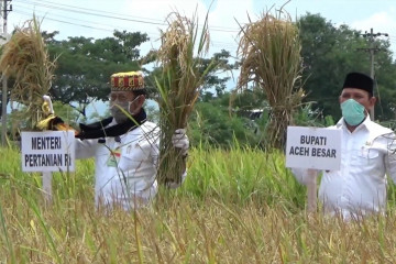 Mentan minta Aceh siap jadi penyokong ekonomi dari sektor pertanian