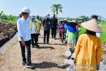 Dongkrak perekonomian rakyat, Kementan gencarkan padat karya irigasi