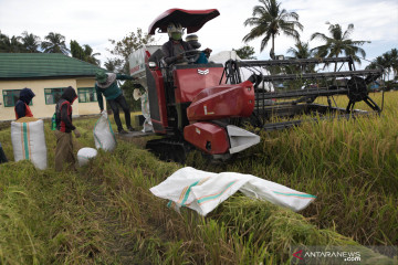 Batan manfaatkan teknologi nuklir perbaiki fungsi lahan