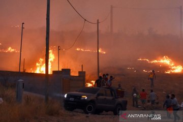 Dahsyatnya kebakaran hutan dan lahan di Argentina
