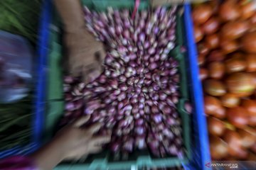 Harga bawang merah naik tipis jadi Rp36.414 per kg