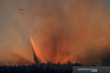 Upaya pemadaman Glass Fire di California