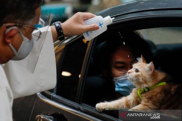 Merayakan Hari Hewan Sedunia di Filipina