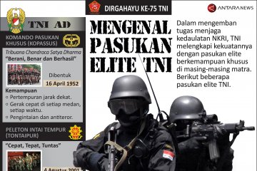Mengenal pasukan elite TNI