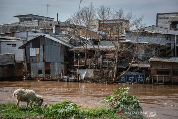 DKI pilih-pilih dalam gusur warga bantaran kali untuk atasi banjir