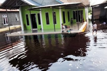 Banjir kiriman rendam permukiman dan lahan pertanian di Kotim