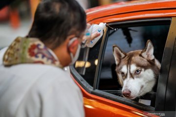 Pemberkatan untuk hewan saat Hari Hewan Sedunia di Manila