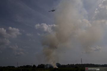 Kebakaran Lahan Di Tanjung Barangan