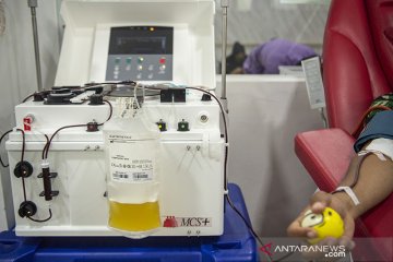 Plasma darah konvalesen kurang membantu pasien COVID-19 sembuh