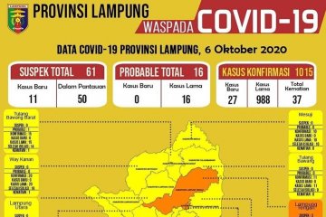 Dinkes : Kasus Positif COVID-19 di Lampung capai 1.015