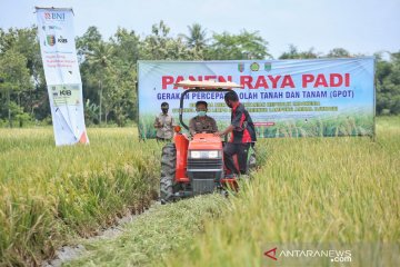 Kejar produksi, Mentan panen dan tanam padi di Lampung Tengah